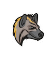 hyena head isolated mascot with sly expression vector image