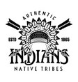 native american indians apache tribe vector image