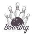 bowling league poster with ball and skittle vector image vector image