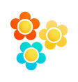 colorful marguerite flowers vector image vector image