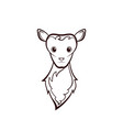 head of a young mutton vector image