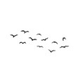 a flock of flying silhouette birds vector image
