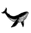 whale design element for poster card banner vector image vector image