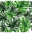 tropical palm leaves jungle seamless vector image