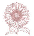 floral sketch vector image vector image