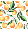 peaches and apricots on tree branches seamless vector image vector image