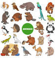 cartoon wild animal characters big set vector image