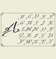 vintage decorative font vector image