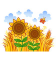 couple of sunflowers on a background wheat vector image vector image