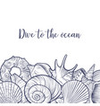 background with seashells vector image