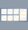 gold botanical card template frame set vector image