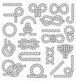 nautical rope set in flat style decorative vector image