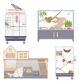 exotic pets icons set vector image vector image