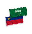 flags of saudi arabia and liechtenstein on a white vector image