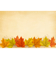 autumn background with leaves and old paper vector image