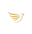 Bird wing dove logo template Royalty Free Vector Image