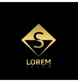 golden s letter vector image