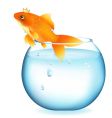 goldfish in aquarium vector image