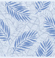 hand drawn palm leaves silhouettes and banana vector image