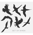 set of silhouettes of birds vector image vector image