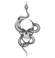 skull and snake tattoo drawn in engraving style vector image vector image