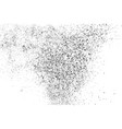 black grainy texture isolated on white vector image