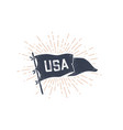 usa flag graphic old vintage vector image
