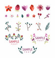 set floral design elements collection vector image