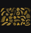 tropical leaves set jungle plants in vintage vector image