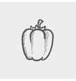 bell pepper sketch icon vector image