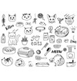 cat doodles on a white background vector image vector image
