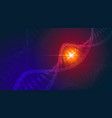 dna abstract science background vector image