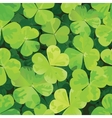seamless pattern with clover leaves vector image