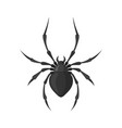 spider in a flat style vector image vector image