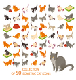 cat cions vector image