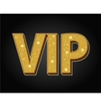 very important person - vip icon vector image vector image
