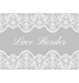 white lace borders vector image