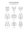 top dog breeds pet outline collection vector image