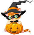 cute halloween kitten vector image vector image