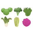 cabbage cartoon green clean vegetable eco food vector image