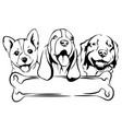 three dogs with a giant bone vector image vector image