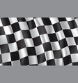 racing and rally car checkered flag vector image vector image