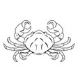 stylized crab vector image vector image