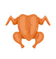 whole fried chicken top view roasted vector image