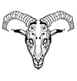 goat vector image vector image