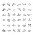 line animals concepts ocean and marine life vector image vector image