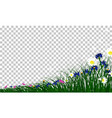 meadow color vector image