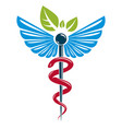 caduceus symbol composed with poisonous snakes vector image
