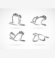 group crow flying on white background birds vector image