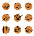 set seagulls and sun vector image